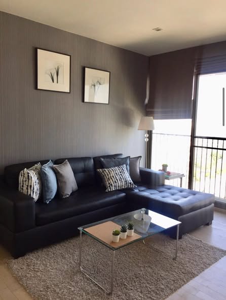 living room of Noble Solo