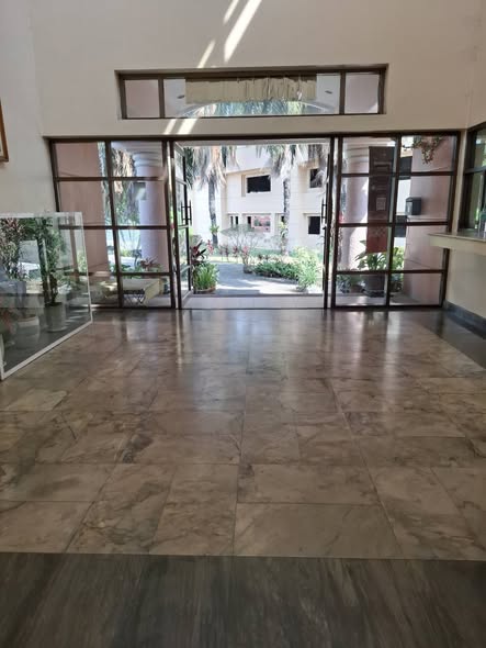 Palmspring Condominium