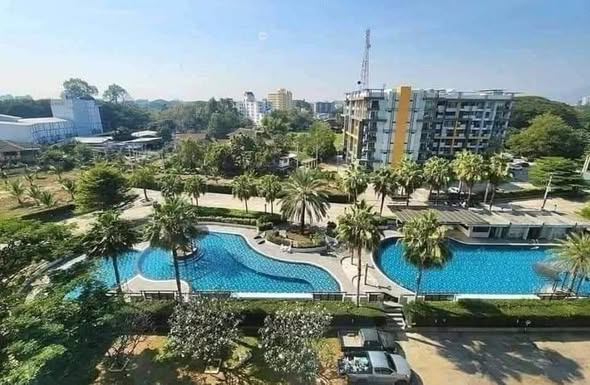 Punna Oasis 2