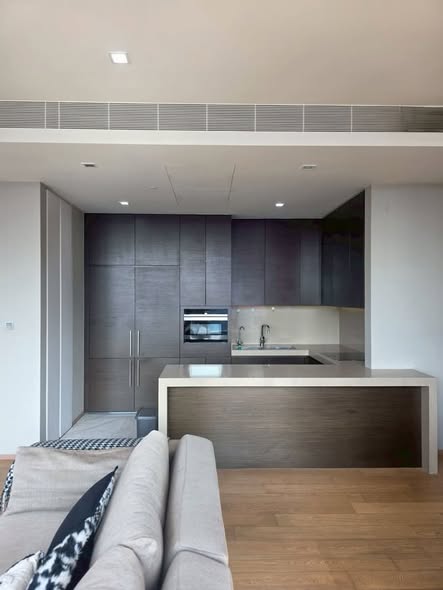room interior and kitchen of SALADAENG One