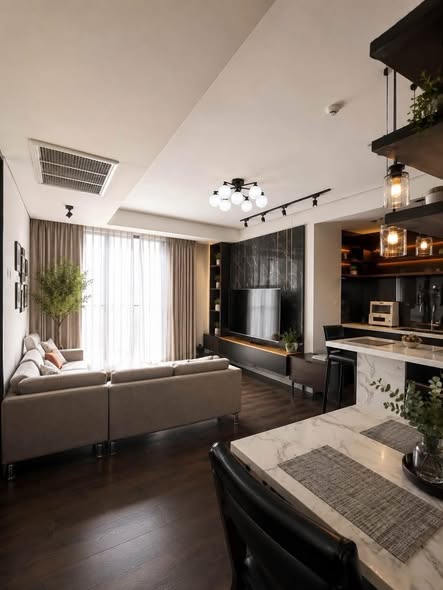 living room of Siamese Gioia