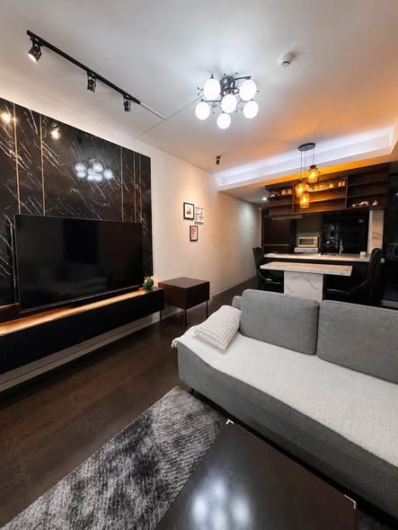 living room of Siamese Gioia