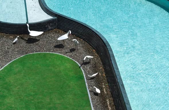 pool of THE BASE Garden Rama 9