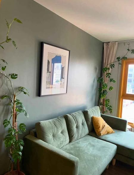 living room of THE BASE Sukhumvit 50