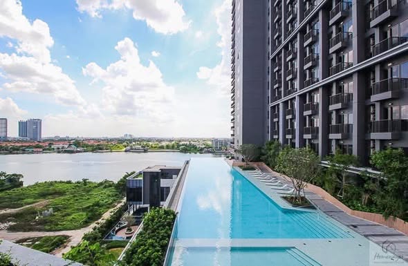 The Politan Aqua