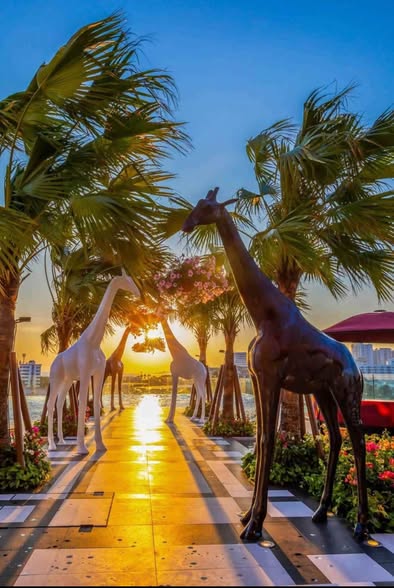 The Riviera Ocean Drive
