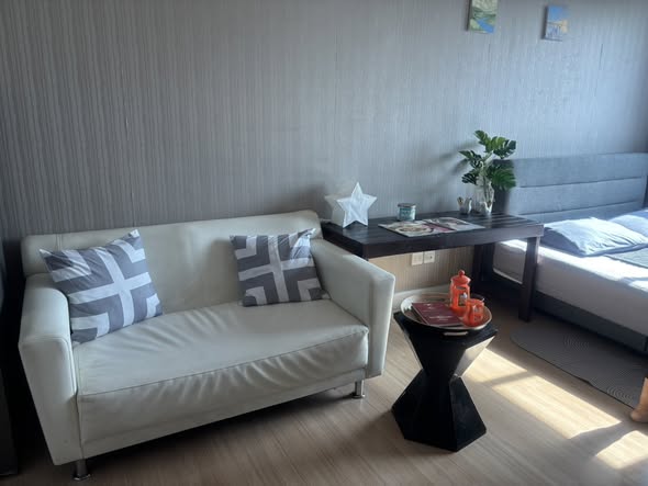 living room and bedroom of The Seed Mingle