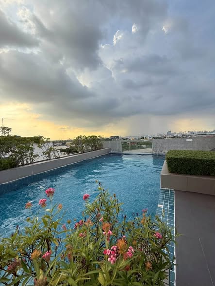 pool of Tropicana Condo