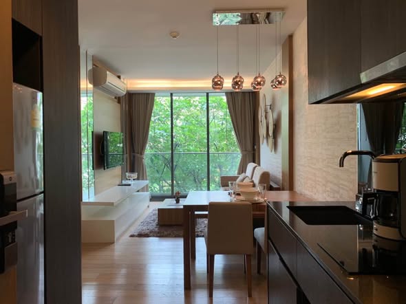 room interior and kitchen of Via 49
