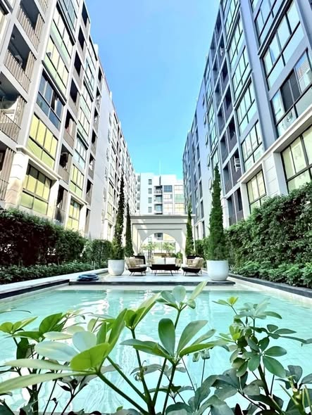 pool of Cerocco Bangna 36