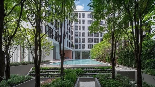 CHAPTER THONGLOR 25
