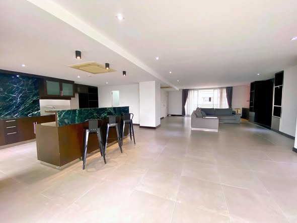 kitchen of DS Towers1