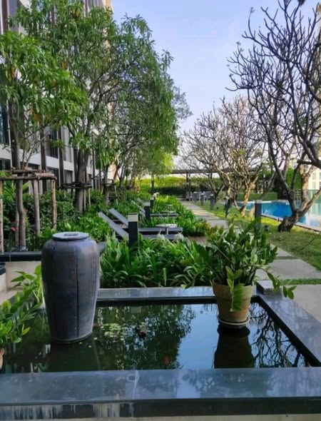 pool of Ideo Lat Phrao 5