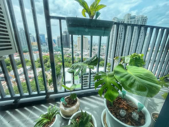 IDEO Sukhumvit Rama 4 ไอดีโอ สุขุมวิท-พระราม 4