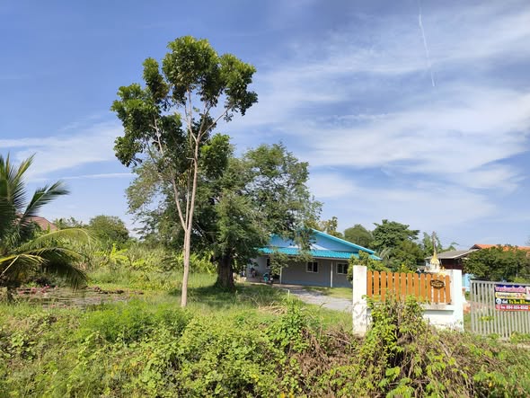 ขายบ้านพร้อมที่ดิน