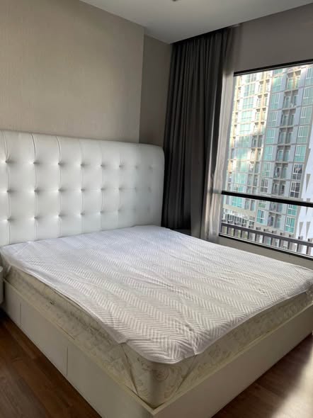 bedroom of Ivy Ampio