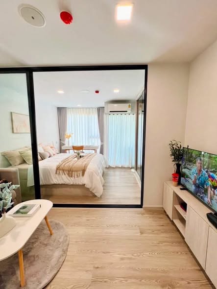 bedroom and room interior of KAVE Seed Kaset | เคฟ ซี้ด เกษตร