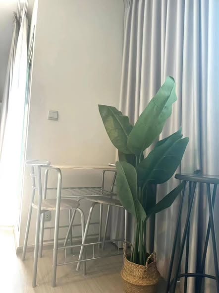 Life Asoke – Rama 9