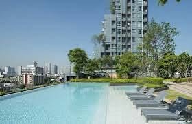 pool of Lumpini Park Vibhavadi-Chatuchak