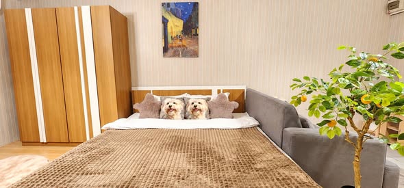 bedroom of Orchid Place