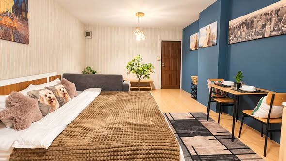 living room and bedroom of Orchid Place