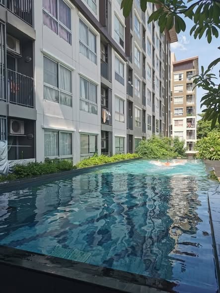 pool of Plum Condo Bangkae