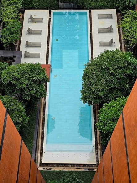 pool of Quintara Treehaus Sukhumvit 42