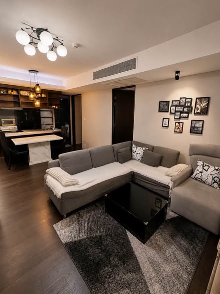 living room of Siamese Gioia
