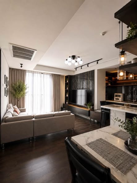 living room of Siamese Gioia