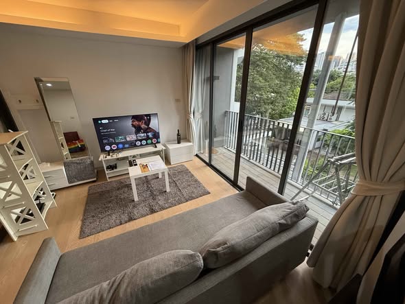 living room and bedroom of Siamese Gioia