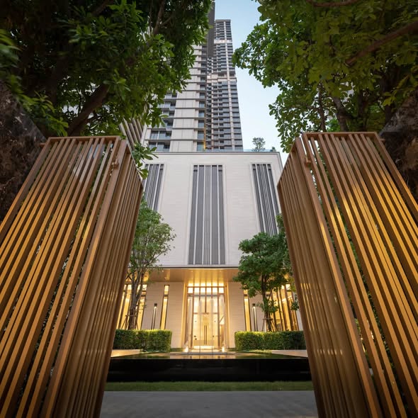 THE ESSE ASOKE