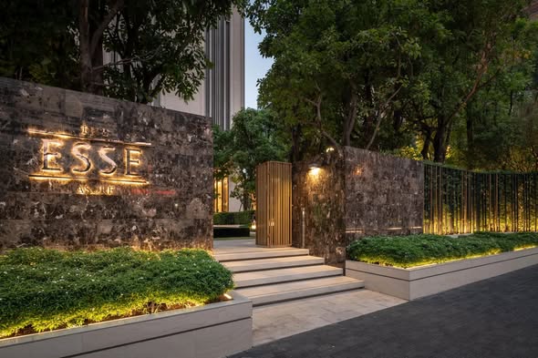 THE ESSE ASOKE