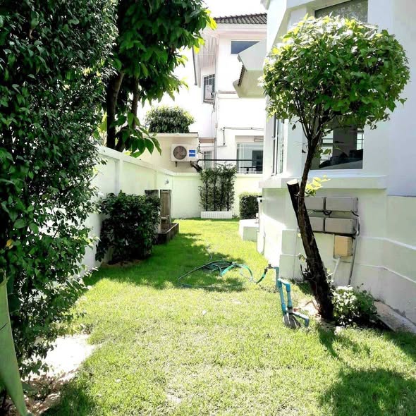 01 กาญจนาภิเษก 43/1