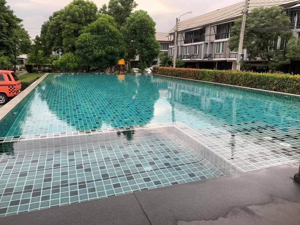 pool of Areeya daily