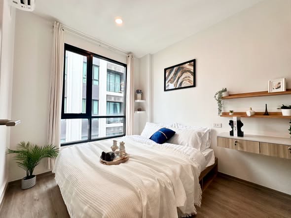 bedroom of Brixton Sukhumvit 107 : บรอมตัน เพ็ท เฟรนด์ลี่ สุขุมวิท 107