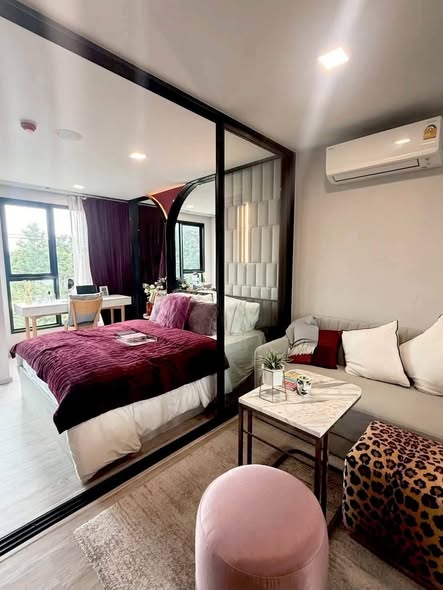 bedroom and living room and room interior of KAVE Seed Kaset | เคฟ ซี้ด เกษตร