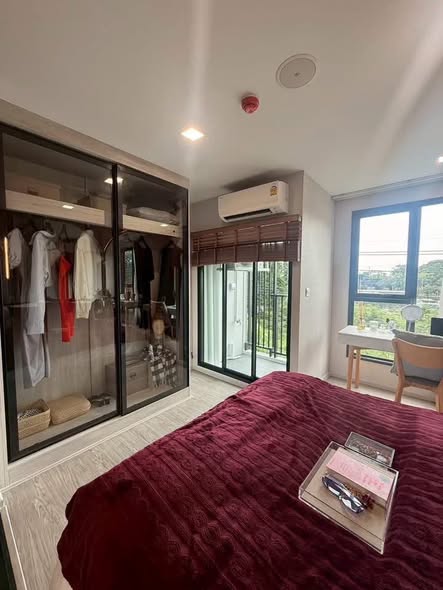 bedroom and room interior of KAVE Seed Kaset | เคฟ ซี้ด เกษตร
