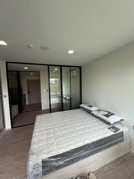 bedroom and room interior of KAVE Seed Kaset | เคฟ ซี้ด เกษตร
