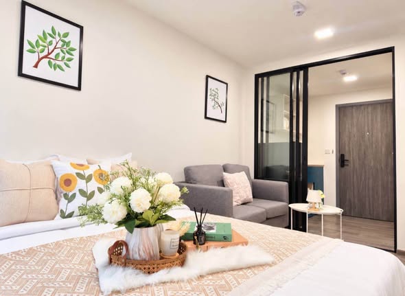 living room and bedroom and room interior of Kave TU
