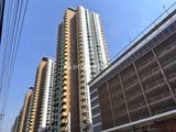 M Society Condominium
