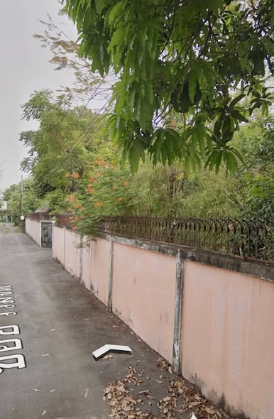 Market Land Thailand