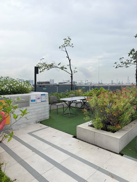 Plum Condo Sukhumvit 62