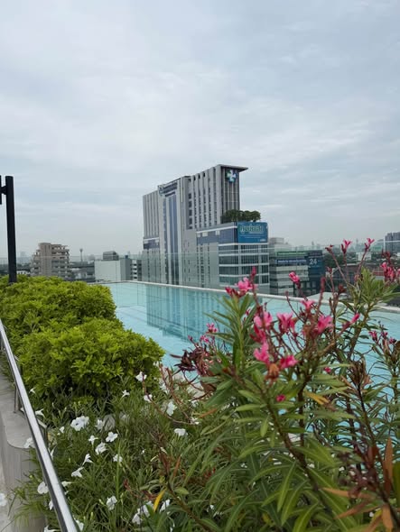 pool of Plum Condo Sukhumvit 62