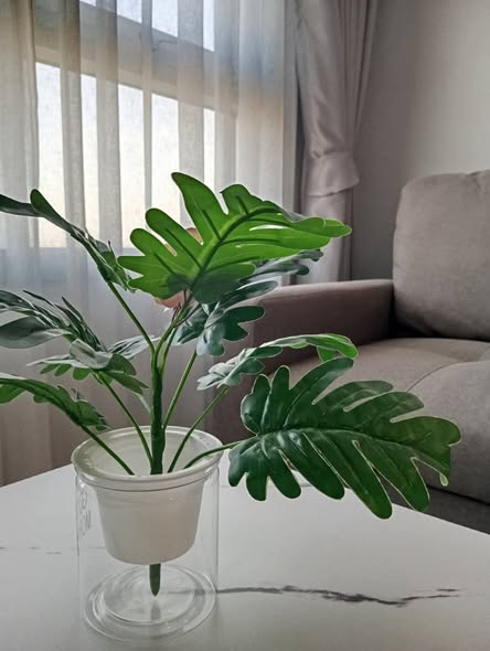 Rich Park Chao Phraya