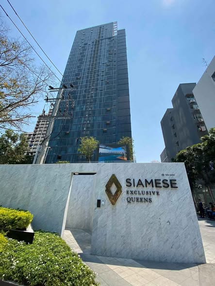 Siamese Exclusive Queens ไซมีส เอ็กซ์คลูซีฟ ควีนส์