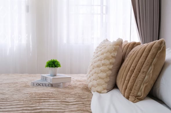 bedroom and living room of Thana Place 45A
