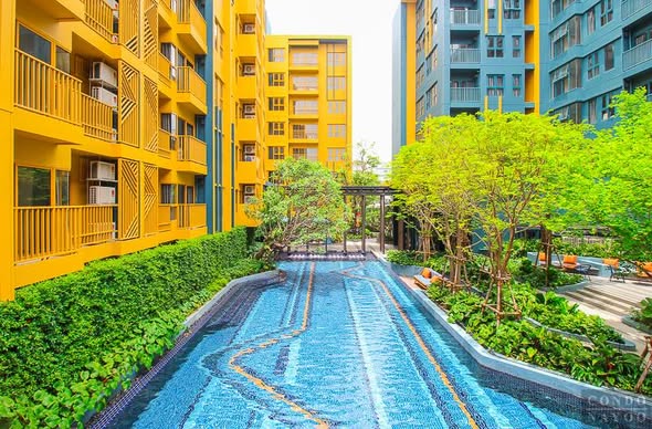 pool of THE BASE Sukhumvit 50