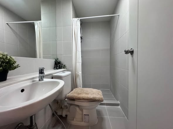 bathroom of The Tree On nut Station