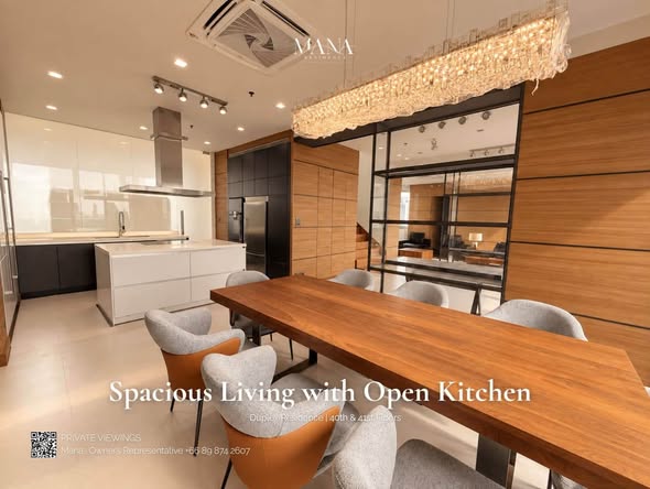 kitchen of Ultra luxury Condo