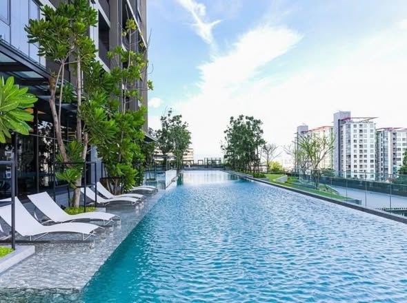 pool of Whizdom Essence Sukhumvit วิสซ์ดอม เอสเซ้นส์ สุขุมวิท